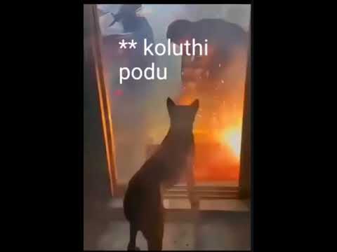 Koluthiii bro #rushil