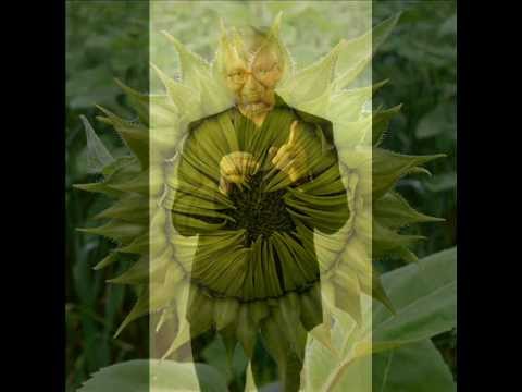 Lorenz Maierhofer, EVERGREENS - 8 x Singvergnügen für Chor a cappella