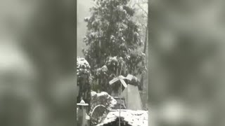 Sorpresa di Natale sulla collina di Torino: fiocchi copiosi a Superga come non capitava da 20 anni