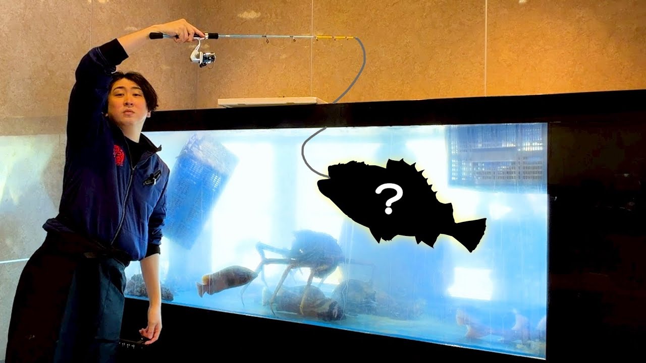 とんでもない釣り堀がこの世には存在します。