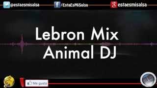 Lebron Mix By Animal DJ