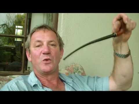 Churchwarden Pipes