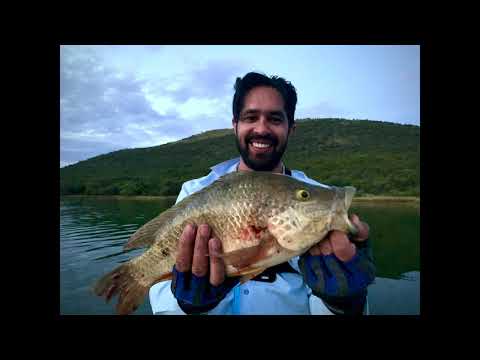 Loskop Dam Fishing 4k UHD