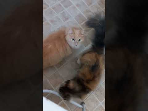 3 ноября 2022 г.