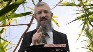 מסכת כתובות דף טו  - 8 דקות של לומדות ועמקות בדרך הלימוד הישיבתית [ktubot 15]