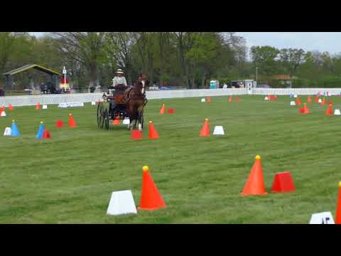 Fahrturnier Lähden 1.5.2022 (National)