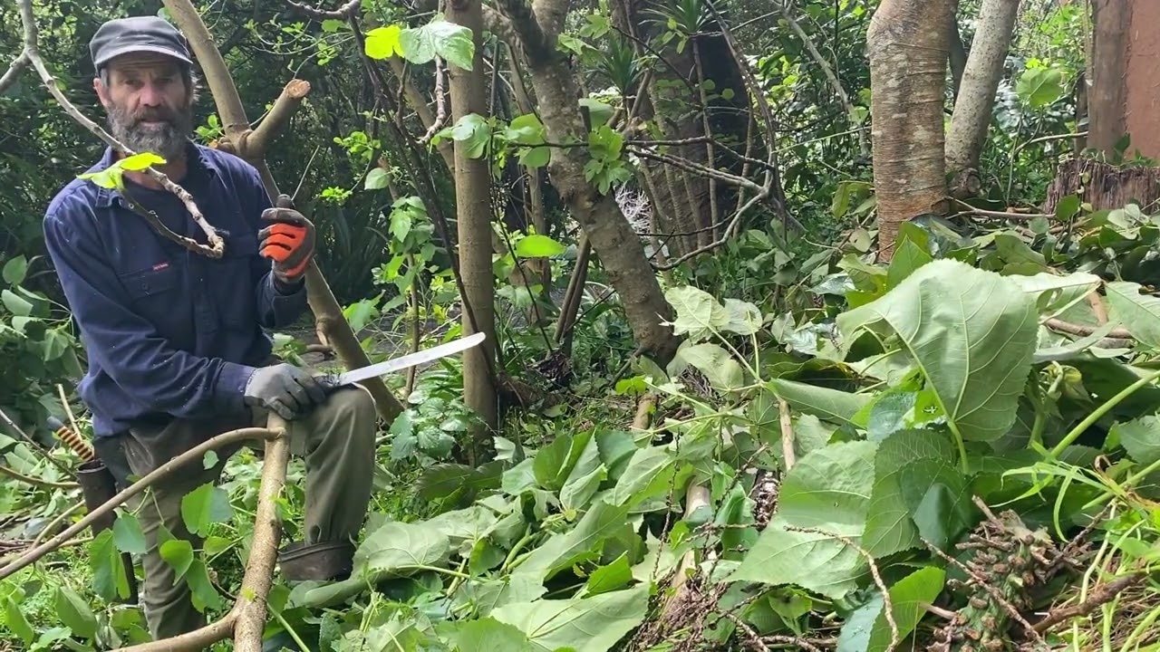 How to Layer Mulch in a Food Forest