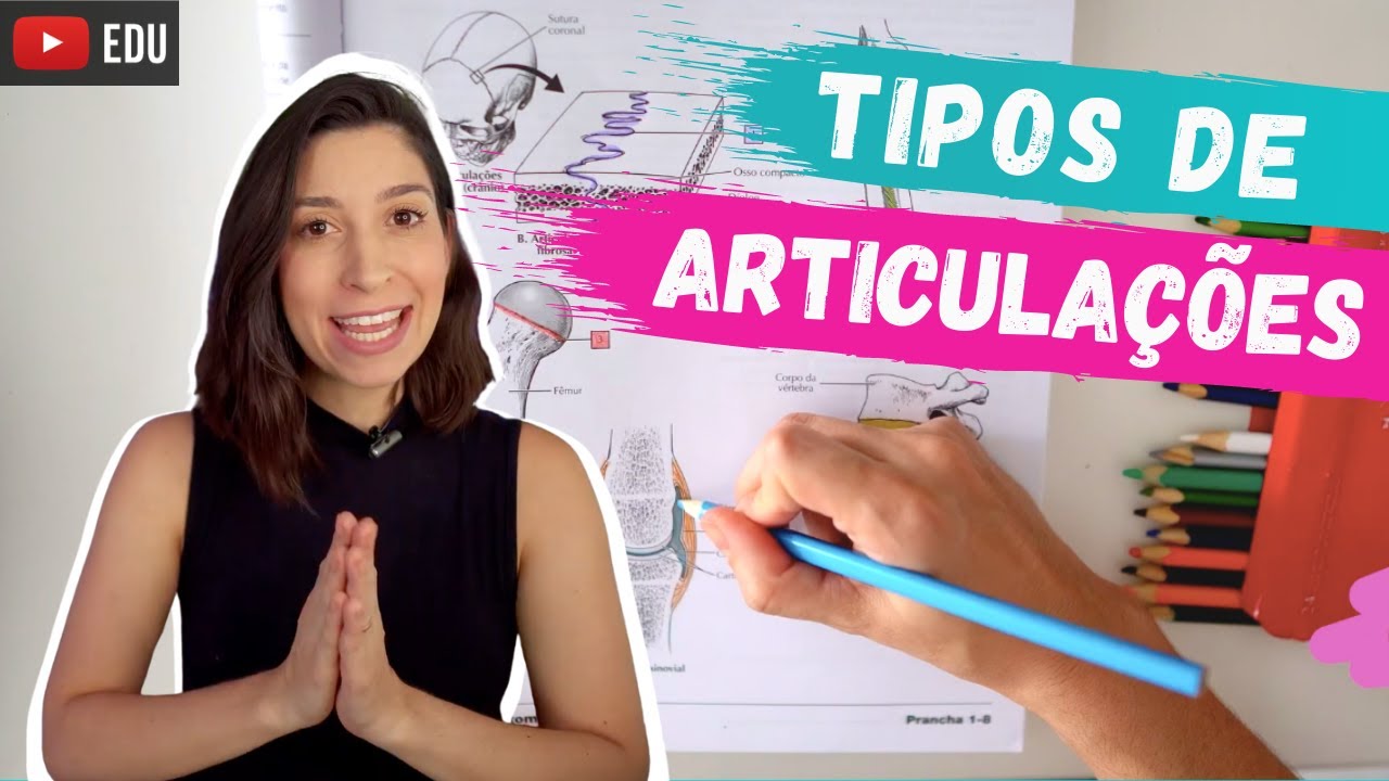 Classificação das ARTICULAÇÕES: Anatomia para colorir!