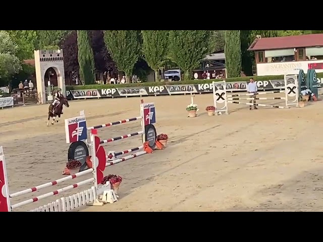 Pony femmina del 2015, cat. 110