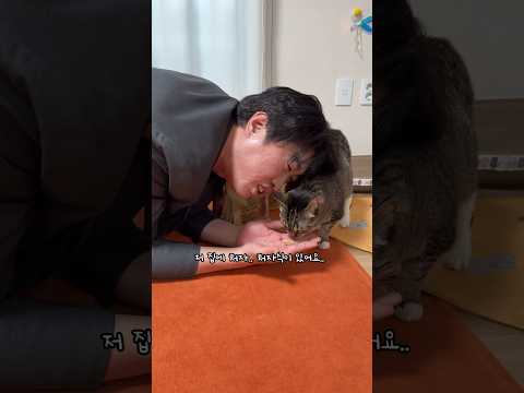 집사가 편하게 돈버는 게 싫은 고양이