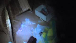 Download lagu HOT YOUNG BABES IN ACTION 2 mp3