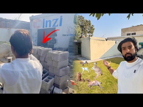 Roach In The Ghr Tor Dia 😐