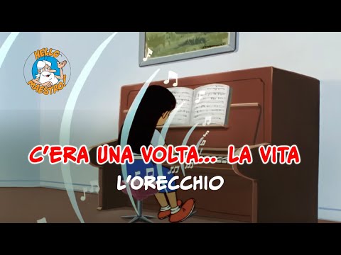 Siamo fatti così... la vita 🌱- L'orecchio 👂