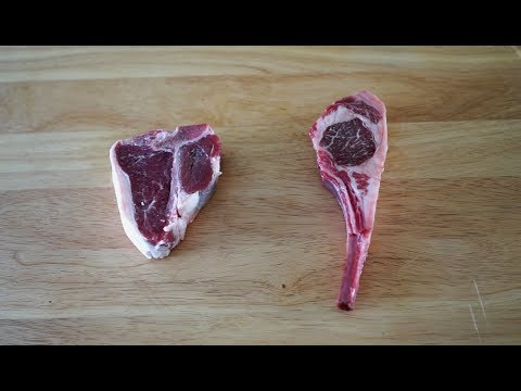 download lagu mp3 mp4 Lamb Porterhouse, download lagu Lamb Porterhouse gratis, unduh video klip Lamb Porterhouse