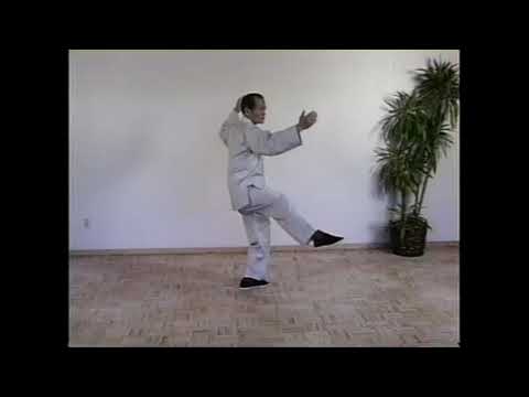 Ben Lo Performs Cheng Man-Ching's 37 Posture Form - No Sound   Chapters