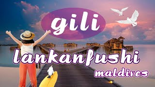 กิลิลังกันฟูชิ มัลดีฟส์ , GILI LANKANFUSHI MALDIVES