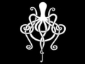 Amplifier-The Octopus 