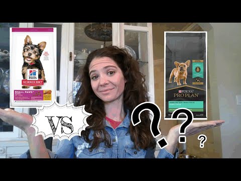 Dog food review: Purina Pro Plan Small Breed Puppy vs Science Diet Small Breed Puppy