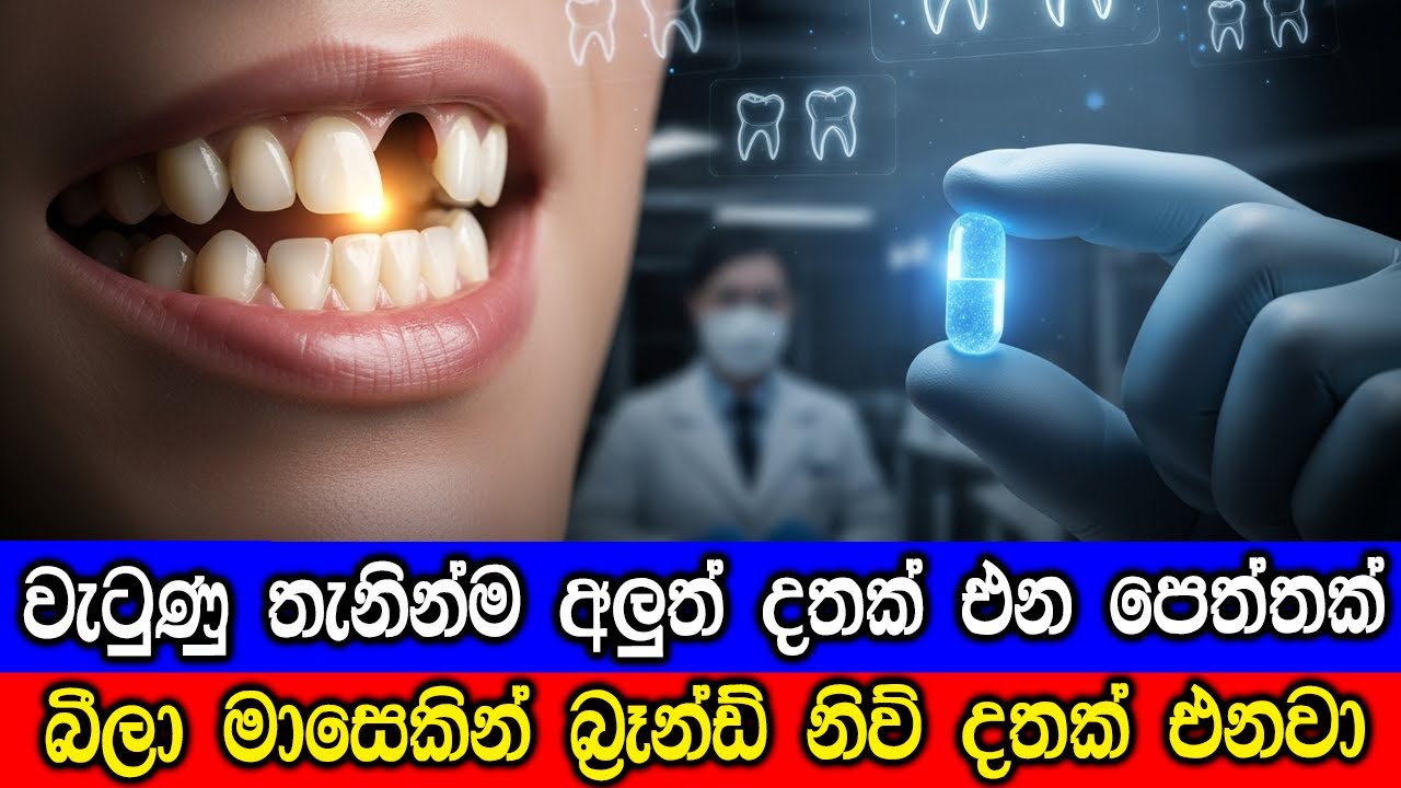 වැටුණු තැනින්ම අලුත් දතක් එන පෙත්තක්. Scientists Just Invented a Pill That REG