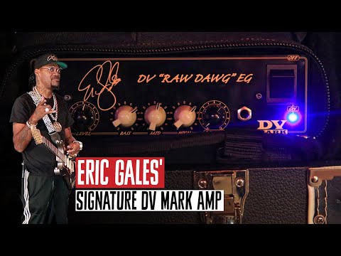 DV Mark DV "Raw Dawg" 60 Eric Gales Signature 60-Watt Guitar Amp Head 2020 - Present - Black image 4