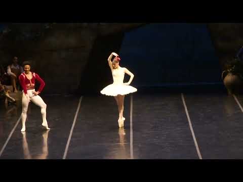 Don Quijote pas de deux Marianela Nuñez Patricio Reve T Colón 2025