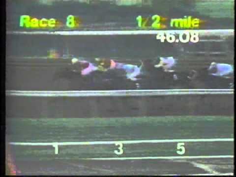 1992 San Rafael S. -- A.P. Indy