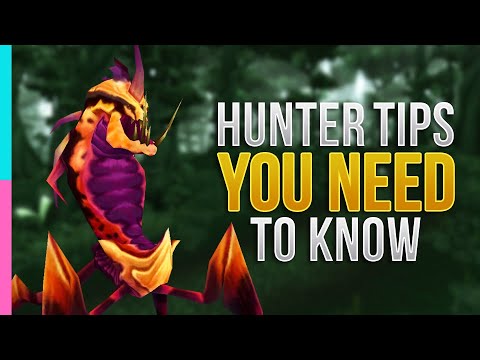 TBC Hunter Essential Guide : Burning Crusade Primer | WoW TBC Classic