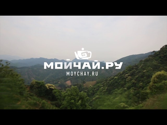 Уишань. Сбор и производство утесных улунов. Большой фильм. Часть третья.