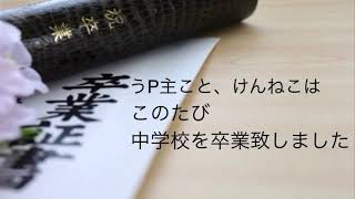 ご報告
