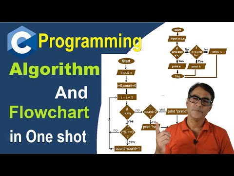 Algorithm Flowchart With Examples C Programming Hindi Tutorial One Shot Tutorial 119