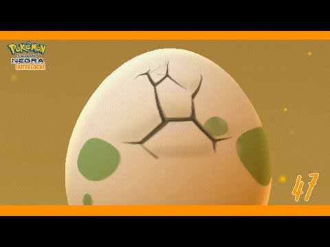 Abriendo TODOS los HUEVOS de Pokémon N Huevolocke