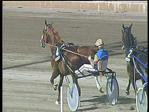 Trotto 14/05/2017 - 5ª corsa