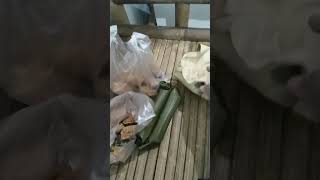 Download lagu Selamat pagi🌄🙋 mp3