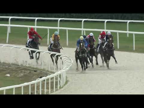 2020.10.11. 04. futam - JEMEELA HENDIKEP (V.o.) (szintetikus pálya)