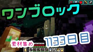 【１１３３日目】ワンブロックでハードコアな世界を生き残る