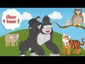 Zoo Animals For Toddlers Learn Counting Colours And Days Of The Week