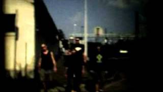 Cadaveres de Tortugas - Syco I