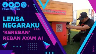 Download lagu LENSA NEGARAKU : 'KEREBAN' REBAN AYAM AI mp3