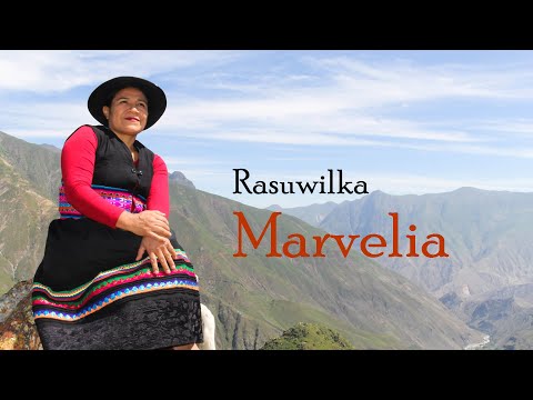 Marvelia - Rasuwillka