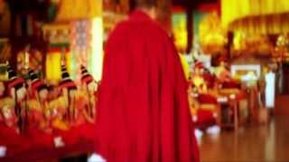 Gyuto Monks of Tibet, The: Chants