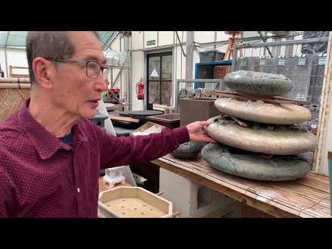 All you need to know about Bonsai Pots