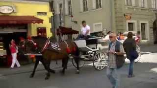 preview picture of video 'Carriages in Krakow'
