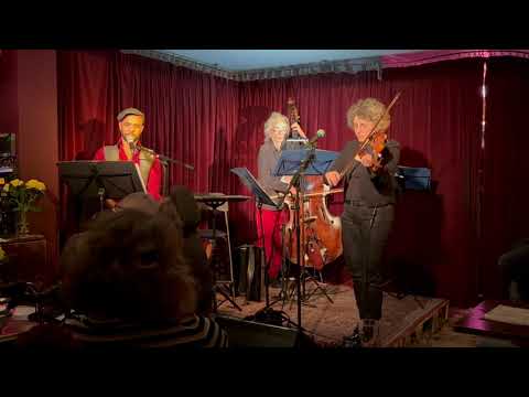 Chryzantemy Złociste - Polish Tango (Golden chrysanthemums)