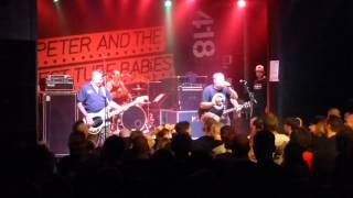 Peter and the Test Tube Babies @ Düsseldorf (26.9.2015) -  Shake My World