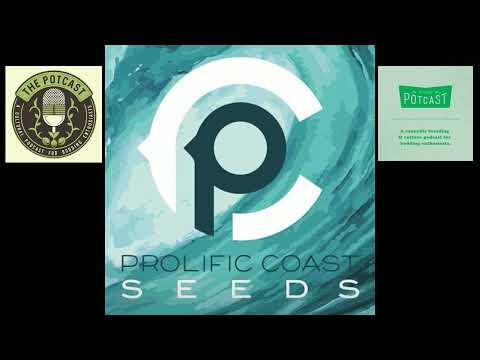 Episode 42 ft Koma of Prolific Coast Seeds