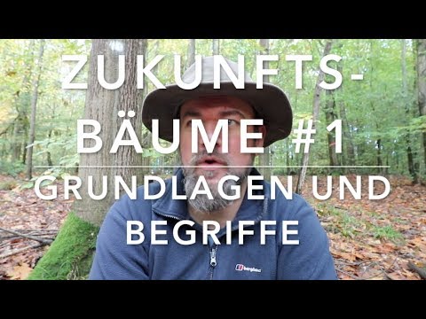 Zukunftsbäume 1: Grundlagen und Begriffe