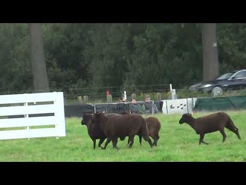 Frank & Bhoy, Limburg Cup Kinrooi, 22-10-2023