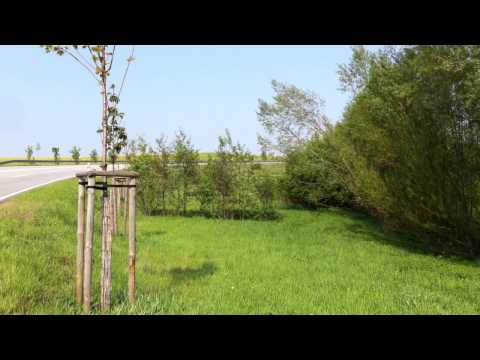 2. Lauenstein 14.05.11