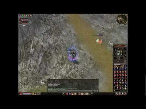 Metin2 RO Pegasus Georgel94 vs darrky25 and shtrumf(BINECUVANTARIKA)