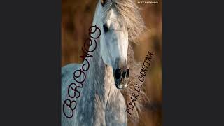 BRONCO PILAR DE CANTINA